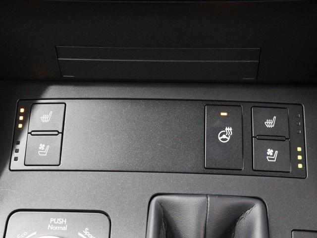 ＩＳ ＩＳ３００ｈ　バージョンＬ　セミアニリン本革　リアスモークフィルム　パノラミックビューモニター　シートヒーター　ステアリングヒーター　ブラインドスポットモニター（16枚目）