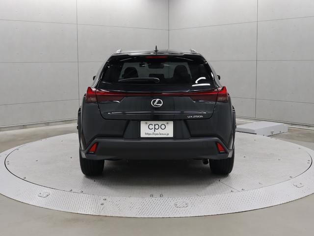 ＵＸ ＵＸ２５０ｈ　グレイスフル　エクスプローラー　１０．３型タッチパネル式ワイドナビ　全方位カメラ　特別仕様車専用スピンドルグリル　ルーフレール　パワーバックドア　パーキングサポートブレーキ（3枚目）