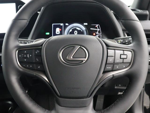 ＵＸ ＵＸ２５０ｈ　グレイスフル　エクスプローラー　１０．３型タッチパネル式ワイドナビ　全方位カメラ　特別仕様車専用スピンドルグリル　ルーフレール　パワーバックドア　パーキングサポートブレーキ（11枚目）