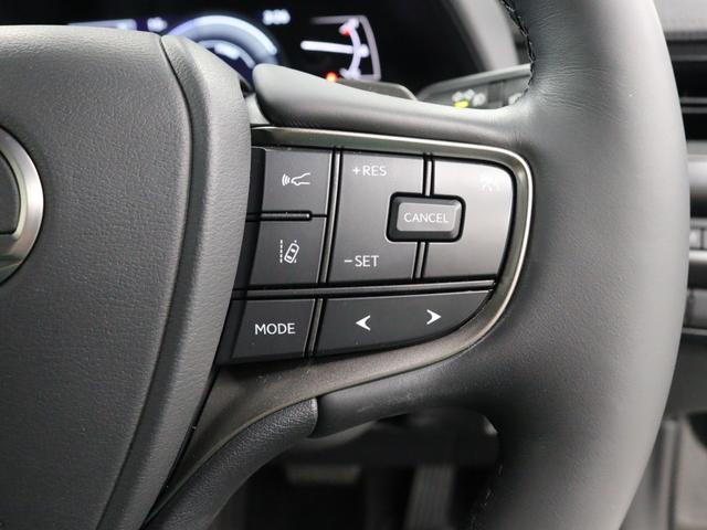 ＵＸ ＵＸ２５０ｈ　グレイスフル　エクスプローラー　１０．３型タッチパネル式ワイドナビ　全方位カメラ　特別仕様車専用スピンドルグリル　ルーフレール　パワーバックドア　パーキングサポートブレーキ（13枚目）