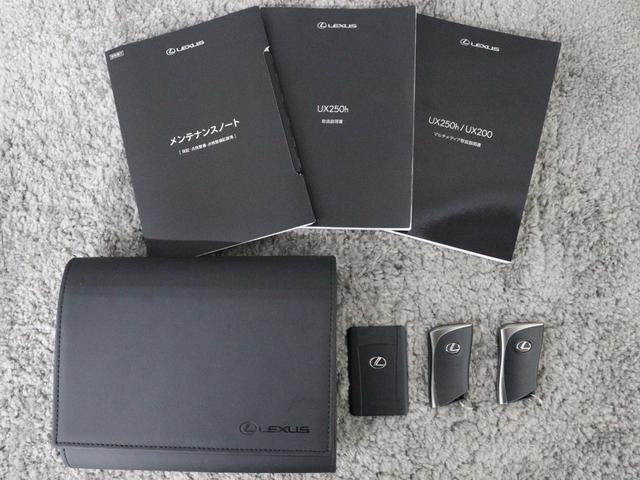 ＵＸ ＵＸ２５０ｈ　グレイスフル　エクスプローラー　１０．３型タッチパネル式ワイドナビ　全方位カメラ　特別仕様車専用スピンドルグリル　ルーフレール　パワーバックドア　パーキングサポートブレーキ（20枚目）