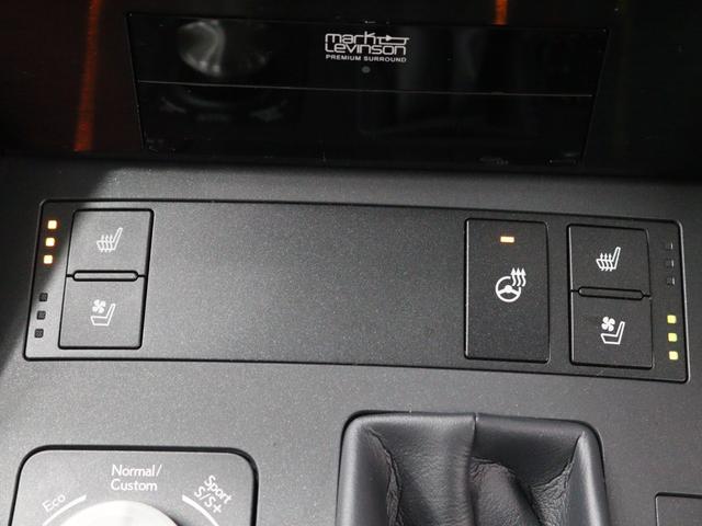 ＩＳ ＩＳ３００　Ｆスポーツモードブラック　マークレビンソン”プレミアムサラウンドシステム”　ムーンルーフ　Ｆスポーツ専用オレンジブレーキキャリパー　ドライブレコーダー　アルミホイールロックナット（15枚目）