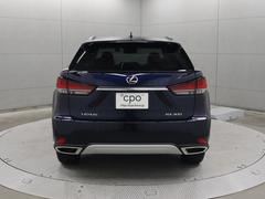 ң ңأС̡ѥΥޥ롼ա̥顡˥˥ܳץ 9731161A30251004W001 3