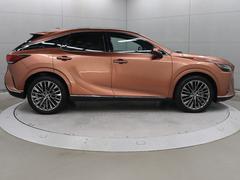 �ң� �ңأ��������С������̡��ץ饰����ϥ��֥�åɡ��ѥΥ�ޥ롼�ա��롼�ե졼�� 9731161A30251206W002 4