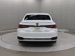 �ţ� �ţӣ������衡�ƥ��ݡ��ġ��ࡼ��롼�ա��ϥ󥺥ե꡼�ѥ�Хå��������������磻�ɥʥ� 9731161A30251219W002 3