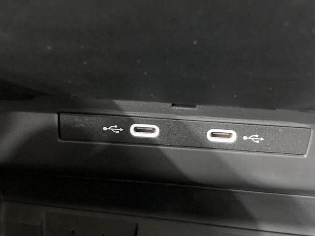 ティグアン eTSI エレガンス トラベルアシスト レーンチェンジアシスト アラウンドビューカメラ デジタルメーター 純正ナビ(Discover Pro Max) IQ.LIGHT パワーテールゲート 18インチアルミホイール(31枚目)