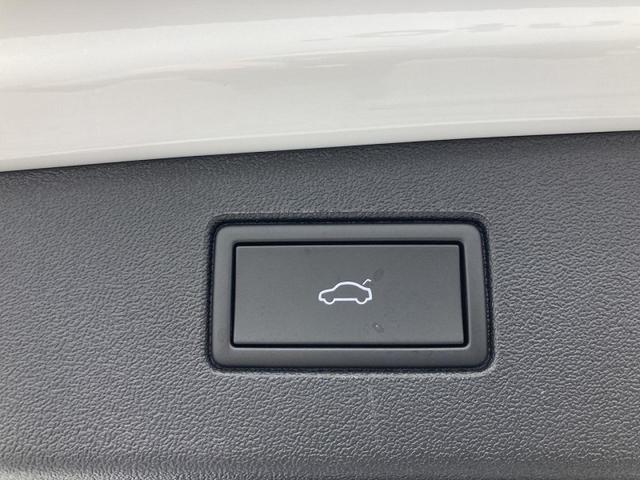 ティグアン eTSI エレガンス トラベルアシスト レーンチェンジアシスト アラウンドビューカメラ デジタルメーター 純正ナビ(Discover Pro Max) IQ.LIGHT パワーテールゲート 18インチアルミホイール(47枚目)