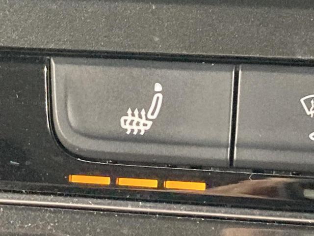 ティグアン ディナウディオエディション 特別仕様車 レザーシート シートヒーター パドルシフト 電動パーキングブレーキ アラウンドビューカメラ 純正ナビ 19インチアルミ レーンアシスト パワーシート 電動リアゲート シルバールーフレール(36枚目)