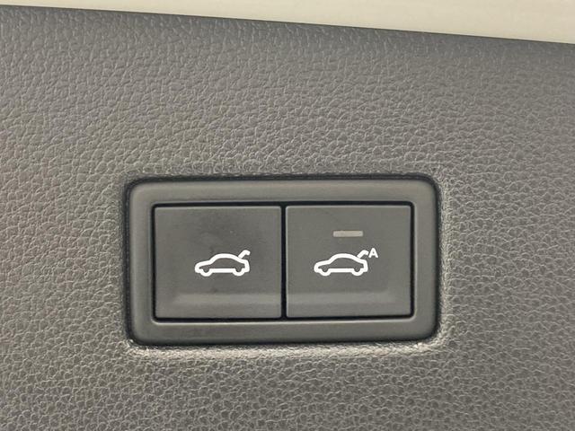 ティグアン ディナウディオエディション 特別仕様車 レザーシート シートヒーター パドルシフト 電動パーキングブレーキ アラウンドビューカメラ 純正ナビ 19インチアルミ レーンアシスト パワーシート 電動リアゲート シルバールーフレール(46枚目)