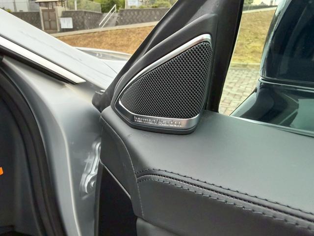 CLSクラス CLS63 S カーボンパッケージ サンルーフ ETC スマートキー クルーズコントロール バックカメラ 電動トランク パワーシート AMGレッドキャリパー カーボンPKG専用パーツ 革シート(29枚目)