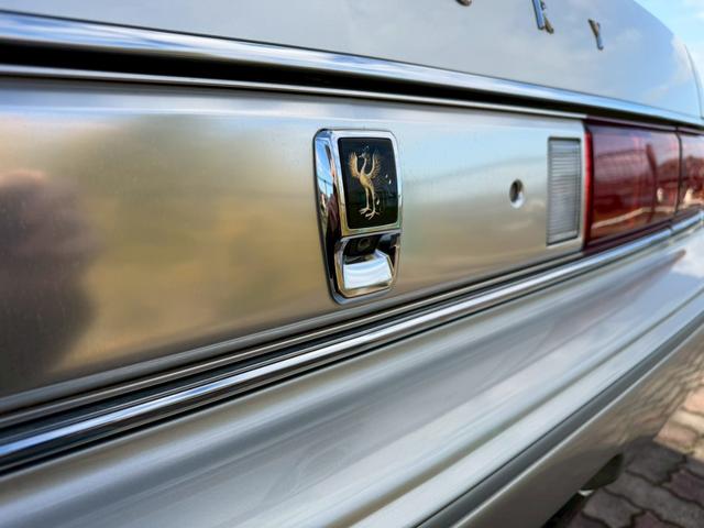 �����o�b�N�J����