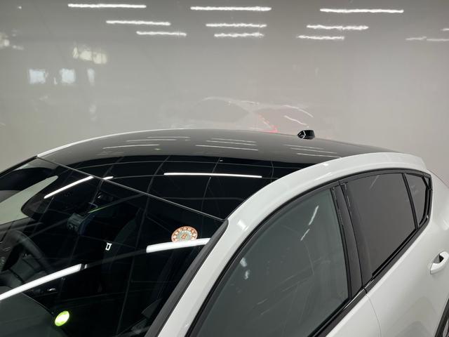 C40リチャージ リチャージ アルティメットシングルモーター アルティメット シングルモーター 禁煙車 サンルーフ 全方位カメラ ナビ ETC ドライブレコーダー レーンアシスト パークアシスト(10枚目)