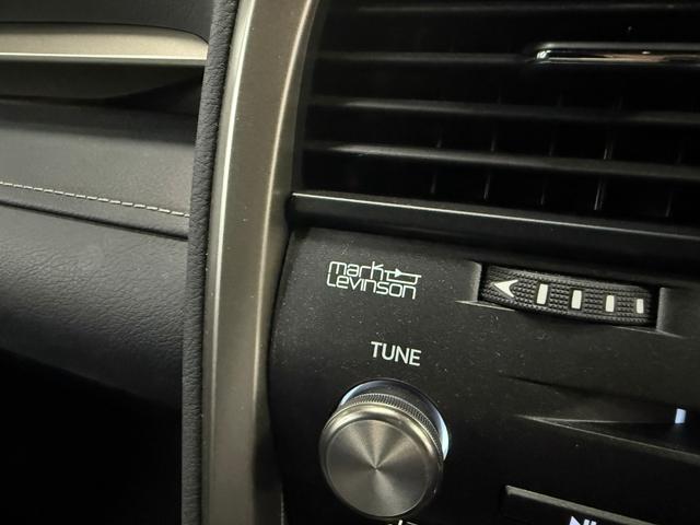 RX RX450h Fスポーツ SR/マクレビ/本革/3眼LED/HUD/後期型/禁煙車/スポーツマフラー(52枚目)