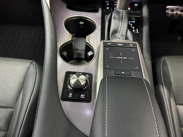 RX RX450h Fスポーツ SR/マクレビ/本革/3眼LED/HUD/後期型/禁煙車/スポーツマフラー(53枚目)