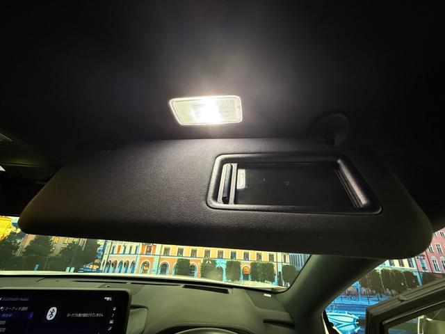 RX RX450h Fスポーツ SR/マクレビ/本革/3眼LED/HUD/後期型/禁煙車/スポーツマフラー(65枚目)