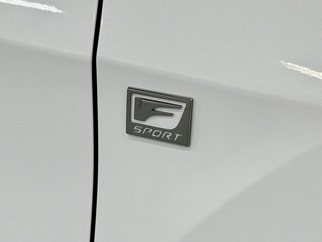 RX RX450h Fスポーツ SR/マクレビ/本革/3眼LED/HUD/後期型/禁煙車/スポーツマフラー(68枚目)