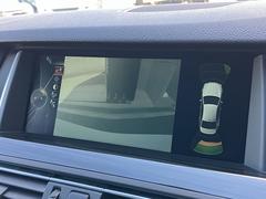 ꥢӥ塼颡˥󥵡Ƥꡢ㳲ʪ᤹ܶȡȲǥݡȡ 6