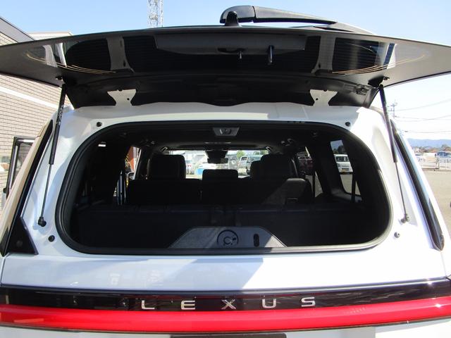 ＧＸ ＧＸ５５０　バージョンＬ　１オーナー／デジタルインナーミラー（51枚目）