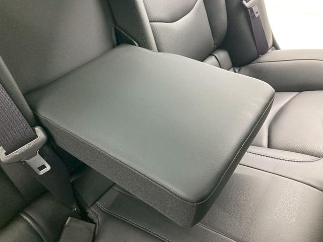 シボレー ボルト プレミア 国内未導入車 PHEV 黒レザー Apple CarPlay 純正17AW BOSE 充電ケーブル 前後シートヒーター ハンドルヒーター Bカメラ ETC レーンキープ オートチェック確認済(66枚目)