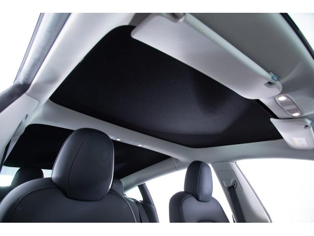 モデル3 ロングレンジ USBドライブ フルセルフD 純正ルーフシェード/トランクマット 19インチAW(55枚目)