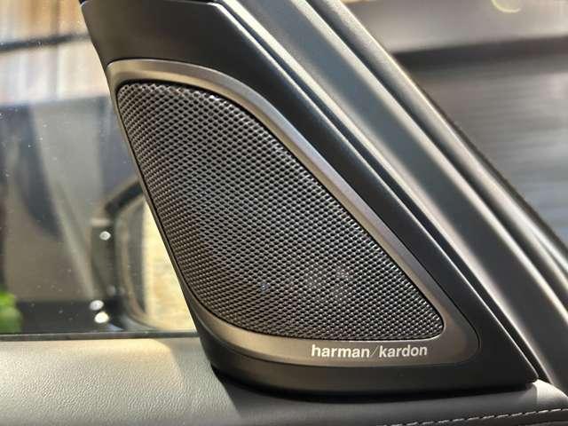 ７シリーズ ７４０ｄ　ｘＤｒｉｖｅ　Ｍスポーツ　ディーゼルターボ　４ＷＤ　ハーマンカードン　ＢＭＷオプションアルミ（46枚目）