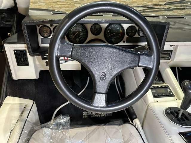 カウンタック 5.2 V12 25th(25枚目)