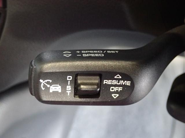 マカン マカンS ルーフスポクロティンテッドテール(16枚目)