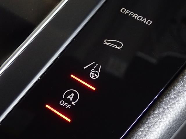 マカン マカンS ルーフスポクロティンテッドテール(19枚目)