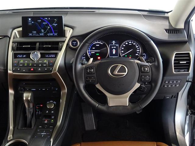 NX300h バージョンL(16枚目)