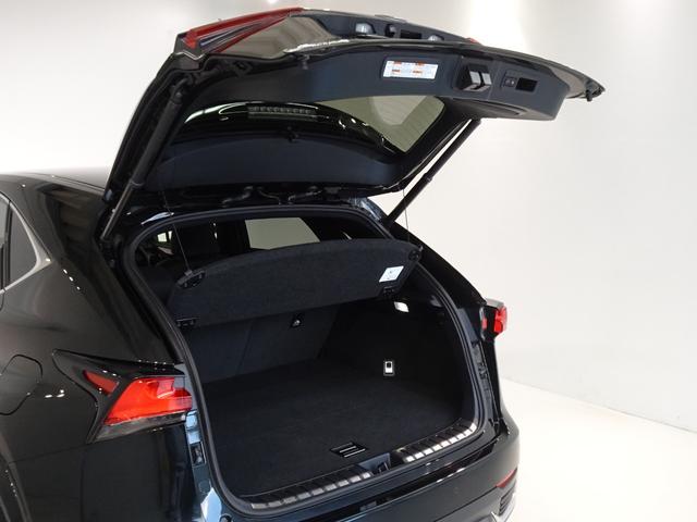 ラゲージスペースでございます。