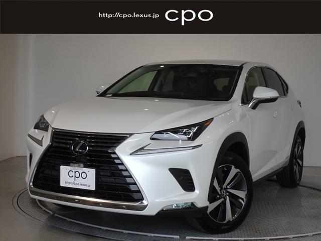 ���{�ԗ��̓t�F�A�ΏێԂׁ̈A���������ɂ��Z�܂��̕��ւ̓X���̔��Ɍ��点�Ē����Ă���܂��B�\�߂��������������܂��B