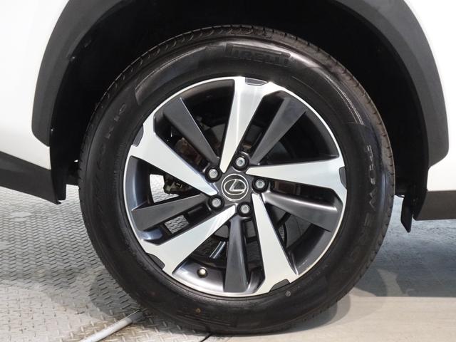 �P�W�C���`�z�C�[���i�_�[�N���^���b�N�h���{�؍���P�j