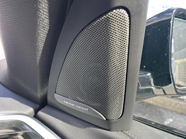 Ｘ５ ｘＤｒｉｖｅ　４０ｄ　Ｍスポーツ　ナビＴＶ　ハーマンカードン　茶革　シートヒーター　ベンチレーション　マッサージ　インテリジェントＳ　ＡＣＣ　ＢＳＭ　ＬＫＡ　ＨＵＤ　３６０°ソフトクローズ　フットトランク　Ｈ／Ｃドリンクホルダー（19枚目）