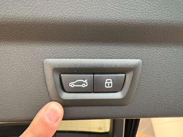 iX2 xDrive 30 Mスポーツ 4WD 全周囲カメラ クリアランスソナー オートクルーズコントロール パワーシート 衝突被害軽減システム サンルーフ ナビ LEDヘッドランプ アルミホイール スマートキー シートヒーター CVT(11枚目)