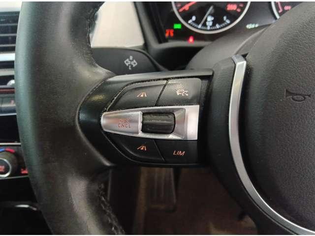 X1 sDrive 18i Mスポーツ バックカメラ クリアランスソナー オートクルーズコントロール 衝突被害軽減システム ナビ TV オートライト LEDヘッドランプ ヘッドライトウォッシャー 電動リアゲート アルミホイール スマートキー(9枚目)