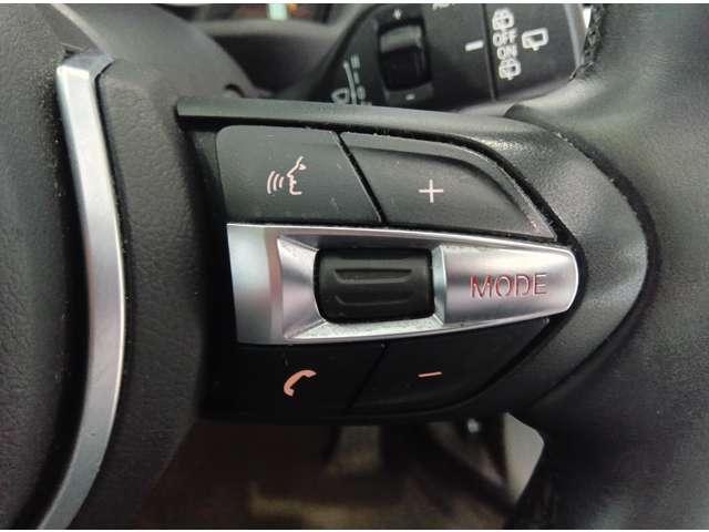 X1 sDrive 18i Mスポーツ バックカメラ クリアランスソナー オートクルーズコントロール 衝突被害軽減システム ナビ TV オートライト LEDヘッドランプ ヘッドライトウォッシャー 電動リアゲート アルミホイール スマートキー(10枚目)