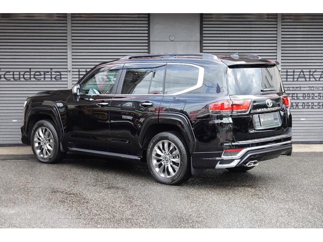 JAPAN　CF National Park Foundation adidas ZX 8000 Yellowstone FY5168