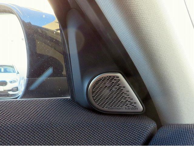 MINI カントリーマンD クラシック・トリム Mパッケージ ベスキン&クロスコンビシート ステアリングヒーター ヘッドアップディスプレイ ハーマンカードンサウンドシステム アクティブクルコン レーンチェンジ&ディパーチャーウォーニング 禁煙車(24枚目)