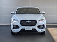 �ƥڥ��� �ҡݥ��ݡ��ġ�������������ץ֥�å������ݡ������֥�å��������ƥꥢ�ѥå����ץ饤�Х������饹������ӥ���ȥ饤�� 9800359A30251220W001 3