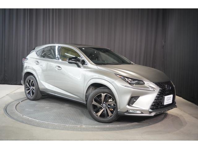 ＮＸ ＮＸ３００ｈ　スパイス＆シック　パノラマビックビューモニター　ムーンルーフ　２２５／６０Ｒ１８（4枚目）