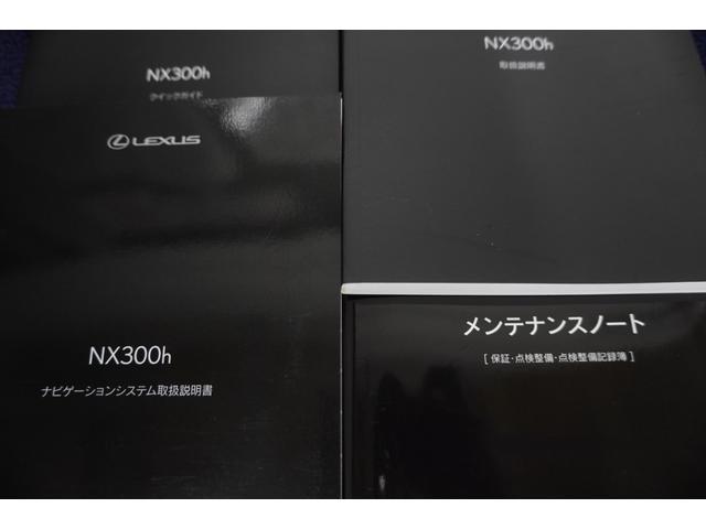 ＮＸ ＮＸ３００ｈ　スパイス＆シック　パノラマビックビューモニター　ムーンルーフ　２２５／６０Ｒ１８（30枚目）