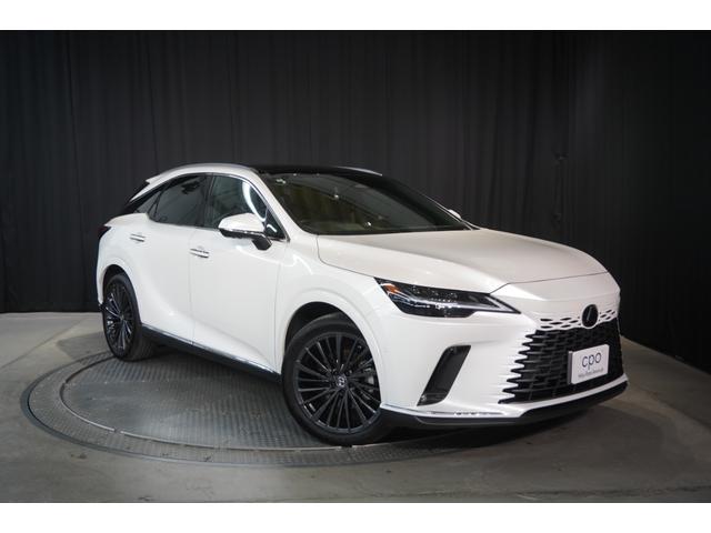 ＲＸ ＲＸ３５０ｈ　バージョンＬ　ＲＸ３５０ｈ　バージョンＬ（５名）　ルーフレール　アクセサリーコンセント１５００　輻射ヒーター　デジタルインナーミラー　ドライブレコーダー（8枚目）