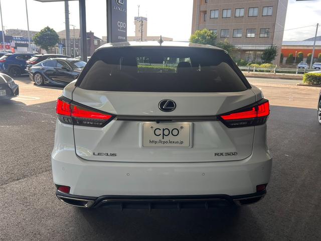 RX RX300 Fスポーツ スペアタイヤ ブラインドスポットモニター(5枚目)