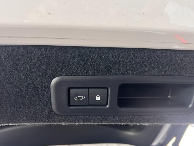 RX RX300 Fスポーツ スペアタイヤ ブラインドスポットモニター(6枚目)