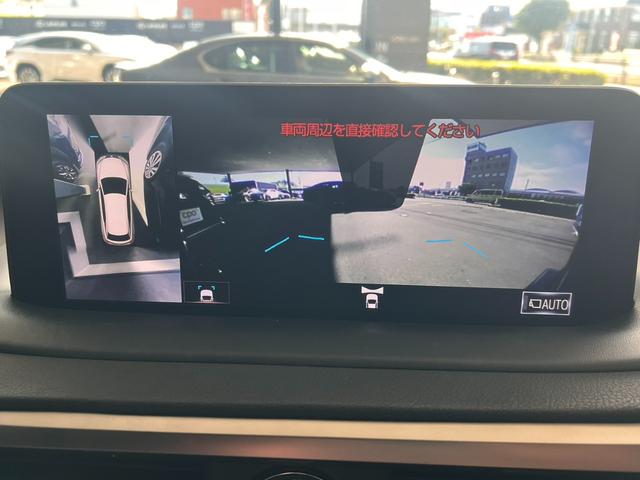 RX RX300 Fスポーツ スペアタイヤ ブラインドスポットモニター(9枚目)