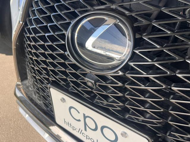 RX RX300 Fスポーツ スペアタイヤ ブラインドスポットモニター(11枚目)