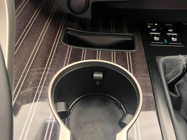 RX RX300 Fスポーツ スペアタイヤ ブラインドスポットモニター(13枚目)