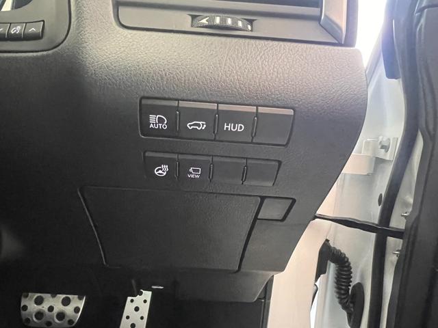 RX RX300 Fスポーツ スペアタイヤ ブラインドスポットモニター(15枚目)