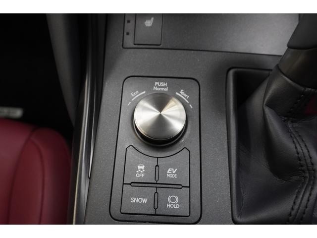 IS IS300h フルLEDヘッドランプ パノラマビックビューモニター(23枚目)