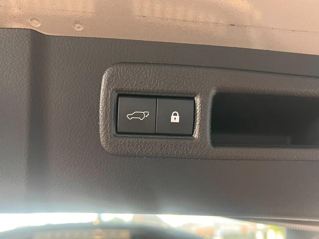 NX NX300 スパイス&シック シートベンチレーション パワーバックドア カラードフェンダーアーチモール(6枚目)